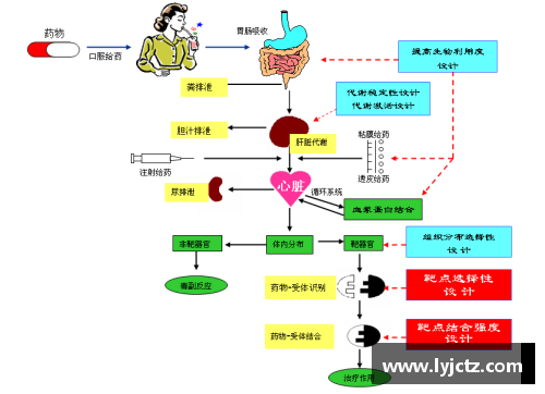 青少年体育俱乐部管理架构设计及优化方案